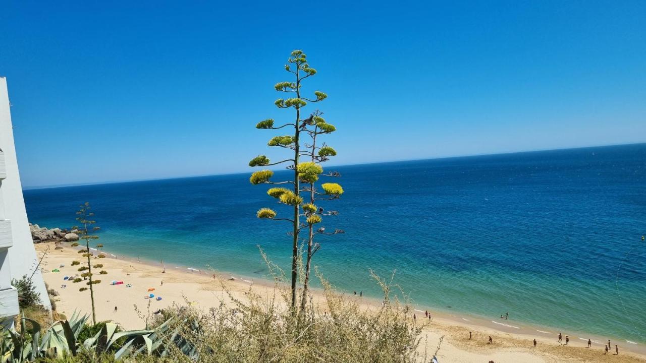 Sesimbra Sun&Sea - Beachfront Apartment! ภายนอก รูปภาพ